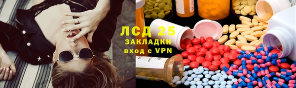 прущие грибы Алексеевка