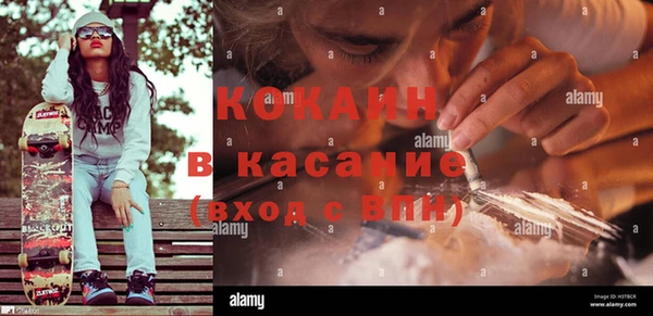прущие грибы Алексеевка