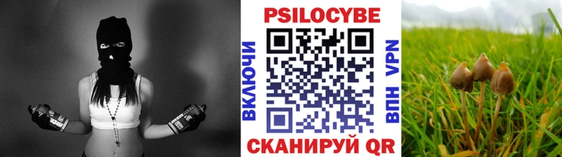 Галлюциногенные грибы Psilocybine cubensis  цены наркотик  Суровикино 